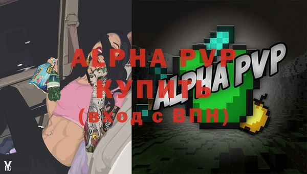 винт Надым