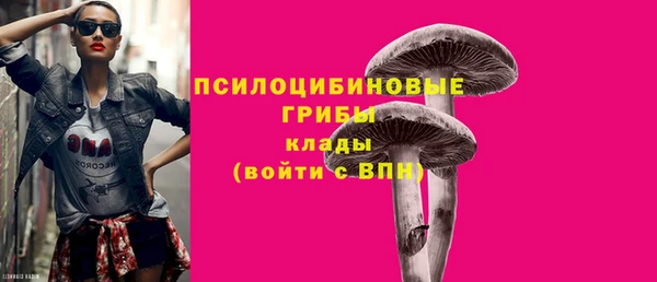 винт Надым