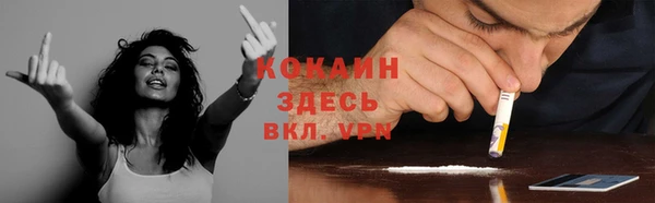 винт Надым