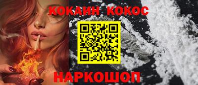 шишки Дубна
