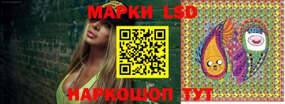 шишки Дубна