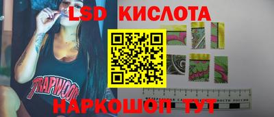 винт Донецк