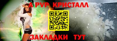 шишки Дубна
