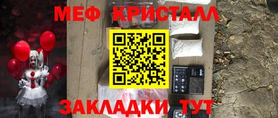 шишки Дубна