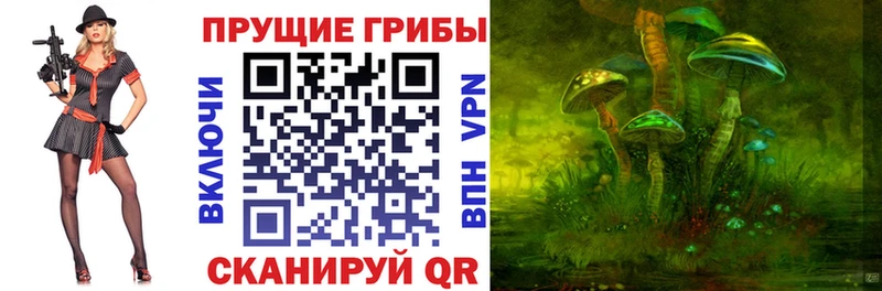 цена   площадка формула  Псилоцибиновые грибы GOLDEN TEACHER  Дубна 