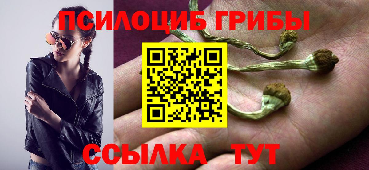 Галлюциногенные грибы GOLDEN TEACHER Дубна