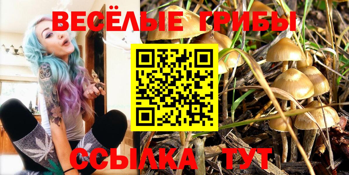 Дубна  Галлюциногенные грибы прущие грибы  Вход с VPN 